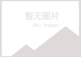 夏津县山柏运输有限公司